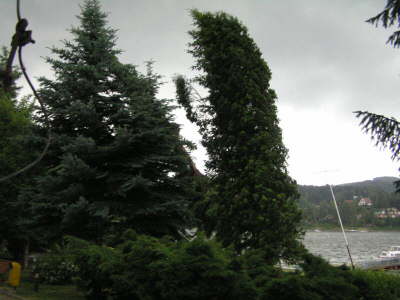 P6220346