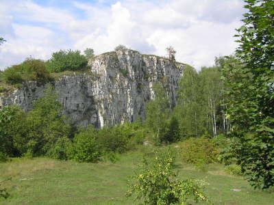P8210523